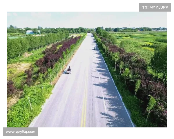 一个走宽乡村振兴路的样板