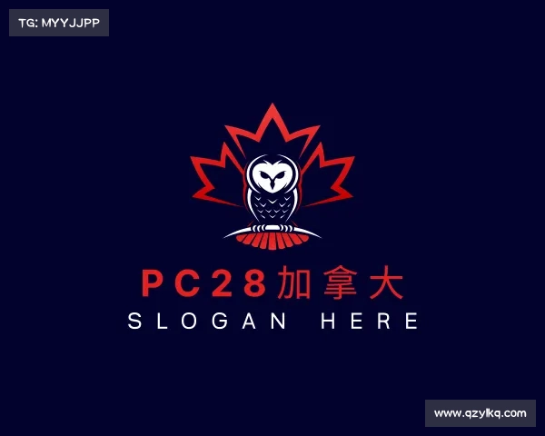 解读pc28加拿大